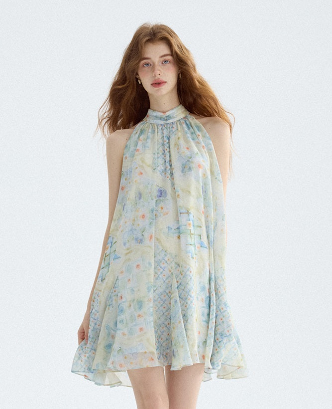 DR235569/Pre-order