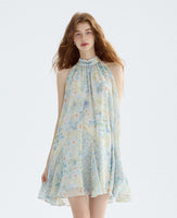 DR235569/Pre-order