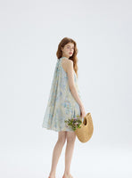 DR235569/Pre-order
