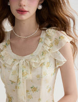 DR235093/Pre-order