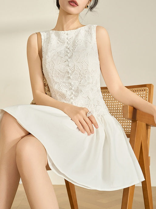 DR236279/Pre-order