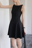 DR235633/Pre-order
