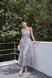 DR235565/Pre-order