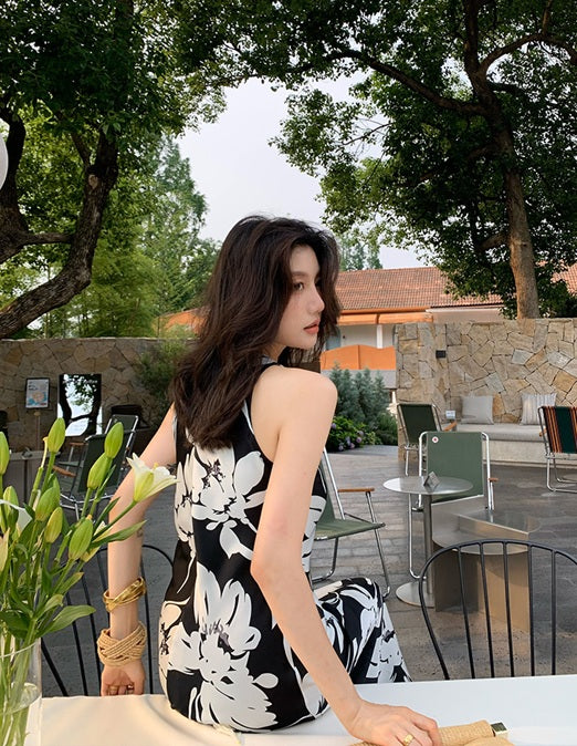 DR235648/Pre-order