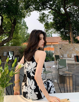 DR235648/Pre-order