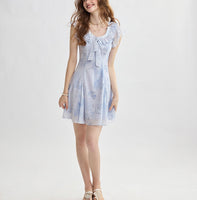 DR235157/Pre-order