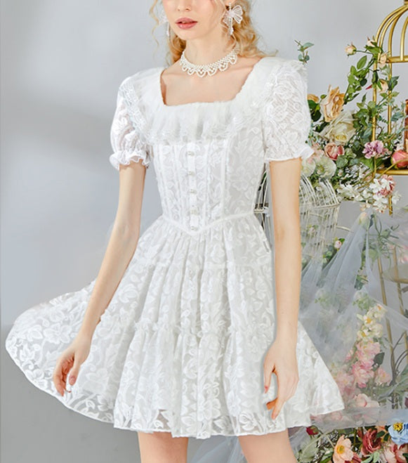 DR235238/Pre-order