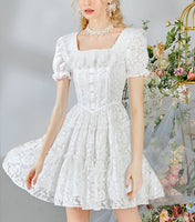 DR235238/Pre-order