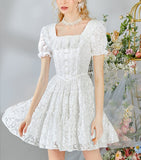DR235238/Pre-order