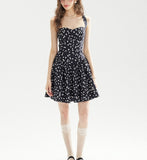DR236230/Pre-order