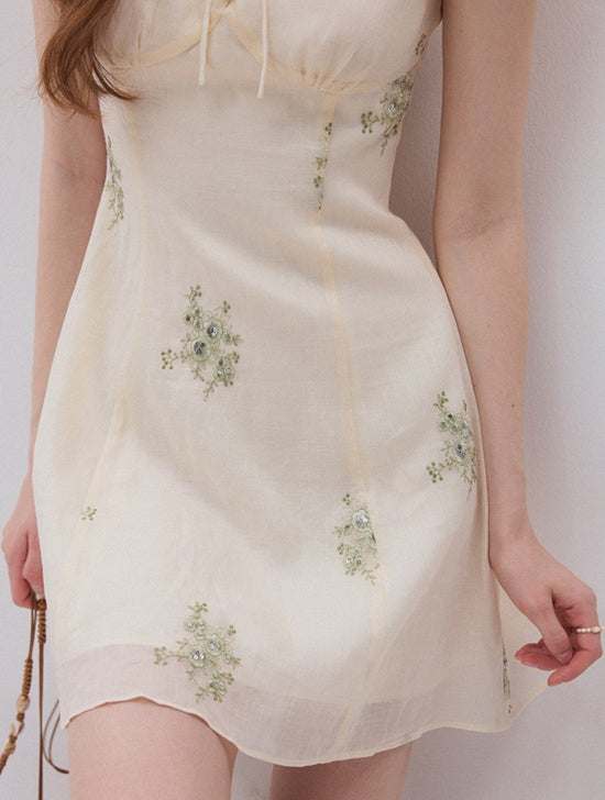 DR236112/Pre-order