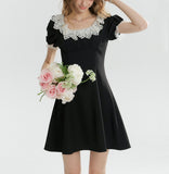 DR236292/Pre-order
