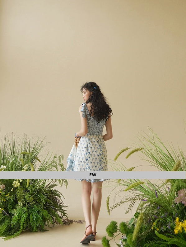 DR236168/Pre-order