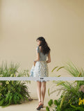 DR236168/Pre-order