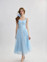 DR235599/Pre-order