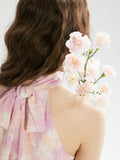 DR236291/Pre-order