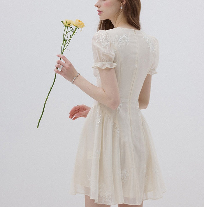 DR236100/Pre-order