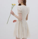 DR236100/Pre-order