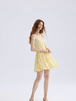 DR235628/Pre-order