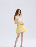 DR235628/Pre-order