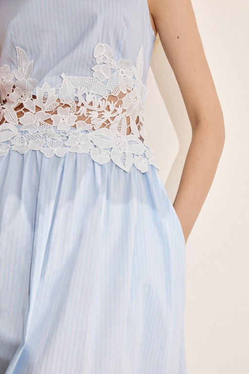 DR236272/Pre-order