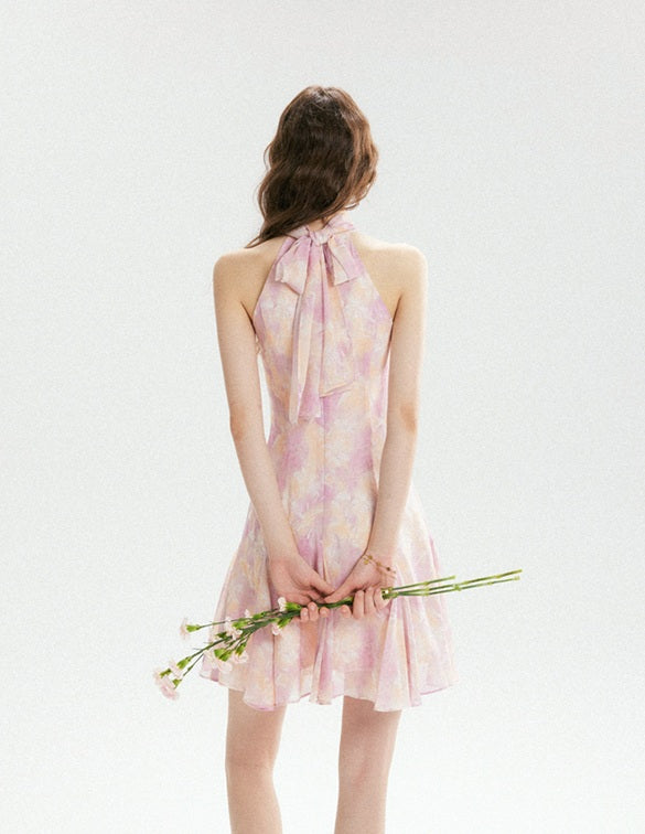 DR236183/Pre-order