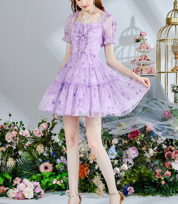 DR235237/Pre-order