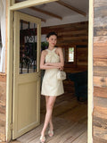 DR236316/Pre-order 2 colours