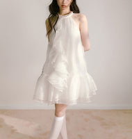 DR235109/Pre-order