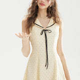 DR236221/Pre-order