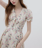 DR236088/Pre-order