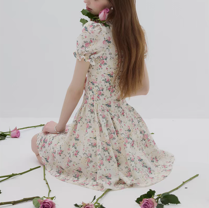 DR236088/Pre-order