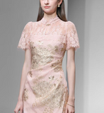DR236165/Pre-order