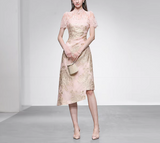 DR236165/Pre-order