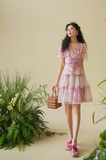 DR236169/Pre-order