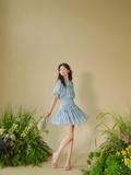 DR236229/Pre-order